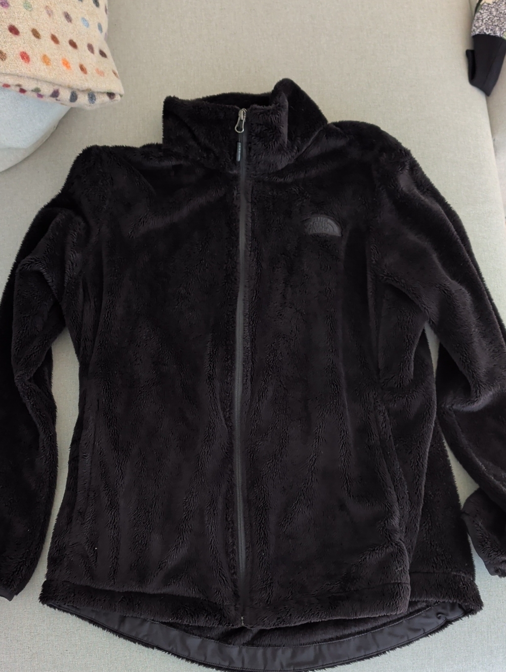 The North Face Black Plush Full-Zip Teddy Jacket